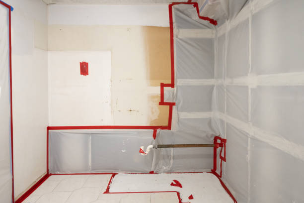 Professional Mold Removal in Ramtown, NJ