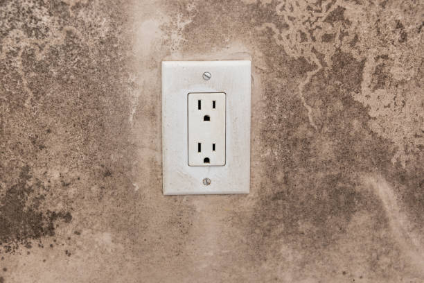 Asbestos and Lead Testing During Mold Inspection in Ramtown, NJ