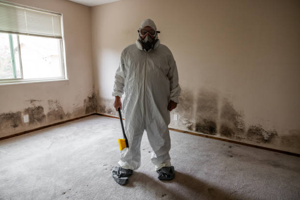 Best Environmental Consulting for Mold Prevention  in Ramtown, NJ